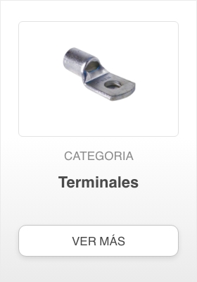 Terminales